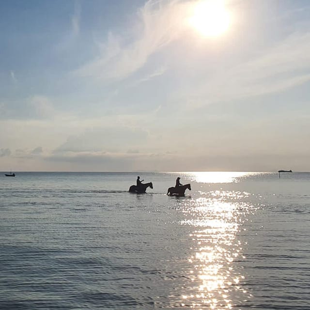 Koh Samui: Sunset Trail Horse Riding on The Beach - From the COLTS office to the tropical gardens