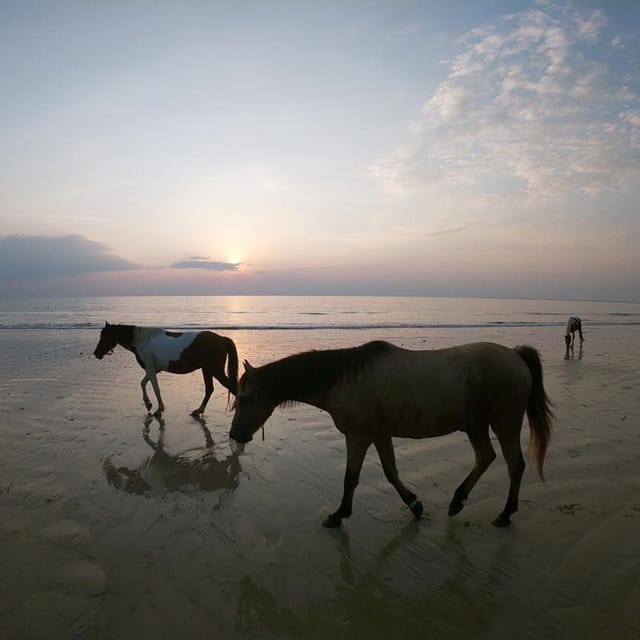 Koh Samui: Sunset Trail Horse Riding on The Beach - Reaching Laem Yai Beach as the light changes