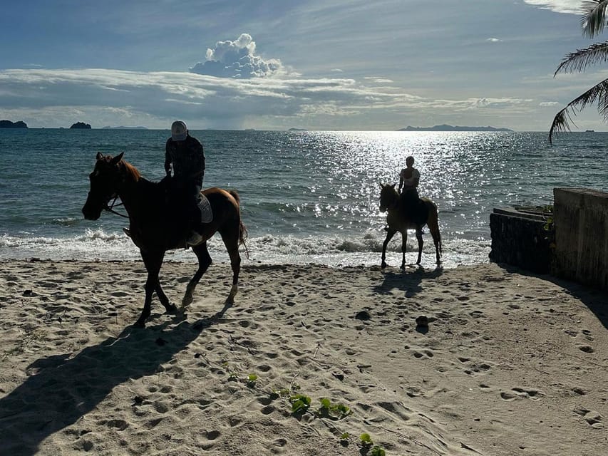 Koh Samui: Sunset Trail Horse Riding on The Beach - The optional horse ride into the sea