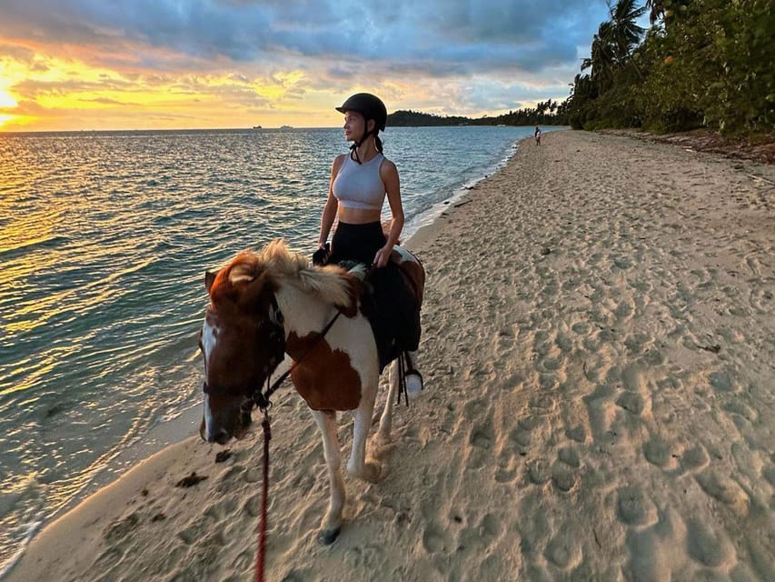 Koh Samui: Sunset Trail Horse Riding on The Beach - Meeting horses that are calm and carefully handled