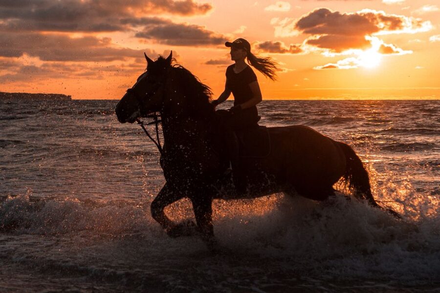 Kos: Horse Riding Experience on the Beach with Instructor - Quick take: what makes this ride special