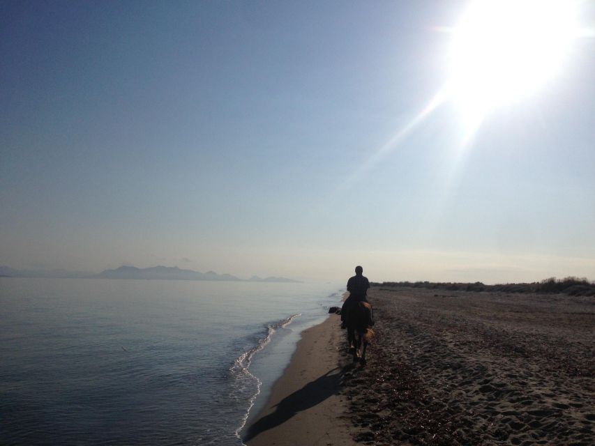 Kos: Horse Riding Experience on the Beach with Instructor - How much value do you get for $88?