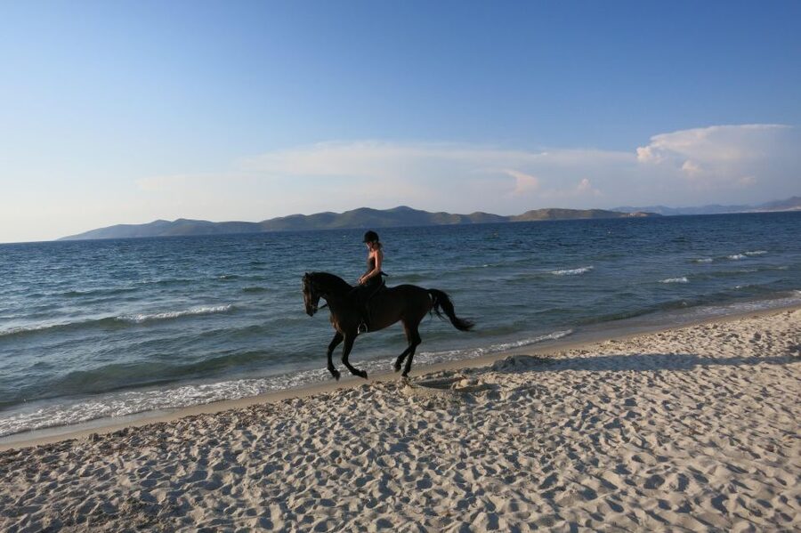 Kos: Horse Riding Experience on the Beach with Instructor - Timing, transfers, and small practical details