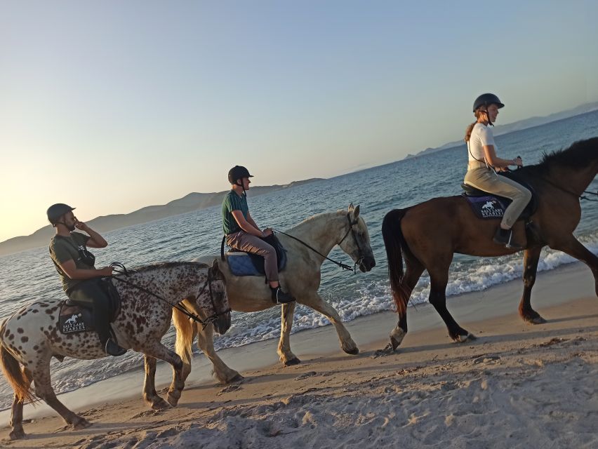 Kos: Horse Riding Experience on the Beach with Instructor - Is the beach ride worth booking?