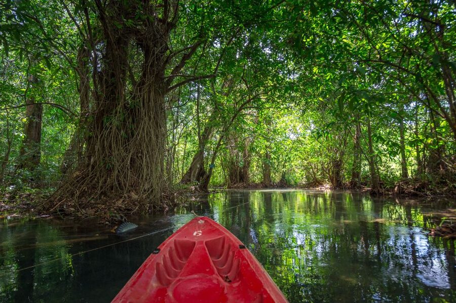 Krabi: Crystal Lagoon Kayaking and Horseback Riding Day Trip - Key points to know before you book