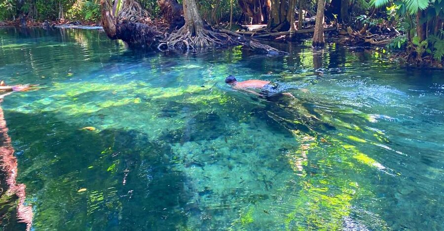 Krabi: Crystal Lagoon Kayaking and Horseback Riding Day Trip - Thai lunch at a local restaurant