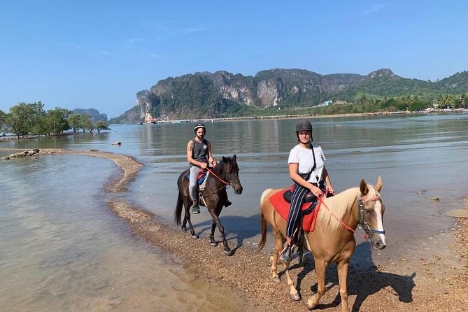 Krabi Horse Riding at Ao Nam Mao Beach - Horses, guides, and the welfare question