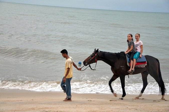 Krabi Horse Riding at Ao Nam Mao Beach - Pickup, timing, and what to bring