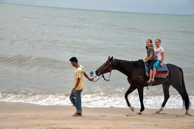 Krabi Horse Riding at Ao Nam Mao Beach - My verdict on Krabi Horse Riding at Ao Nam Mao Beach