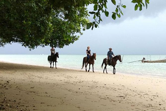 Krabi Horse Riding at The Beach - From the stable to Ao Nam Mao Beach