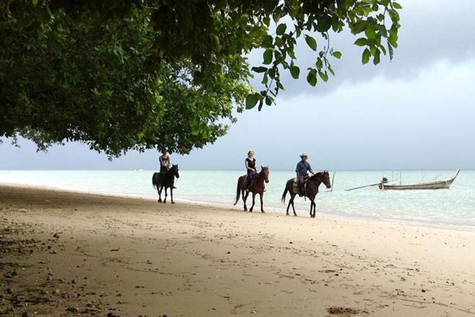 Krabi Horse Riding at The Beach - Beginners receive real help, but horses have individual personalities