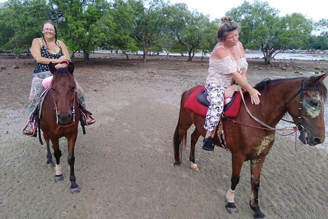 Krabi Horse Riding at The Beach - The optional horse swim is a major add-on