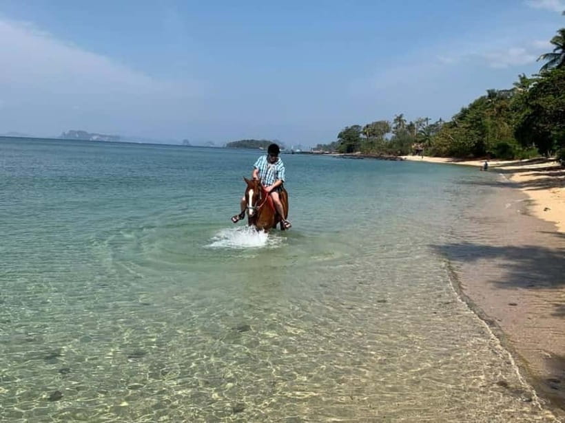 Krabi: Horse Riding On Klong Muang Beach - Safety Instructions Before You Mount