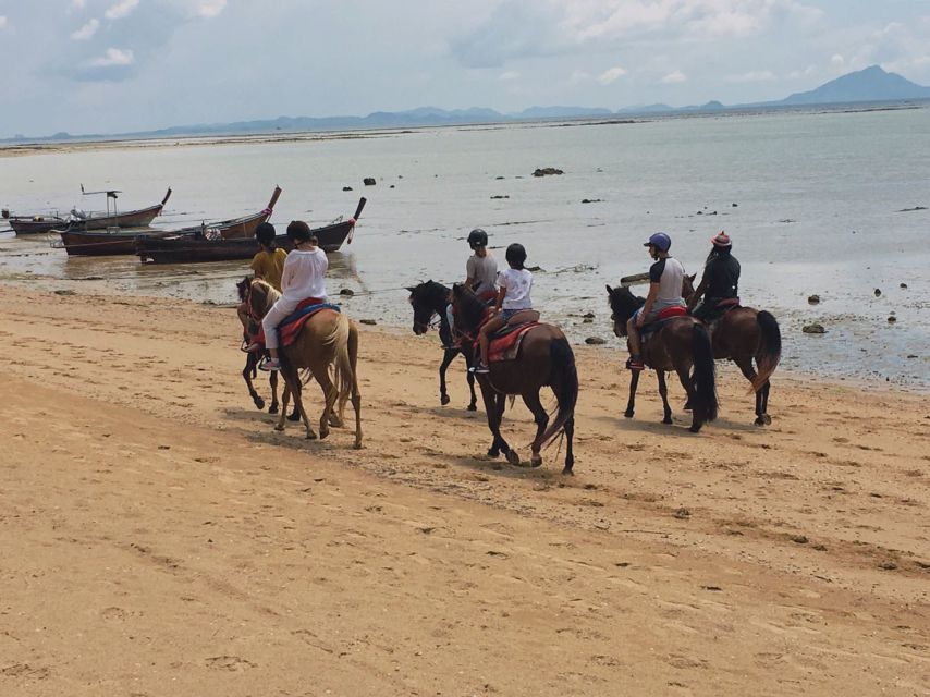 Krabi: Horseback Riding on the Beach - From Ao Nang to the Ao Nam Mao stables