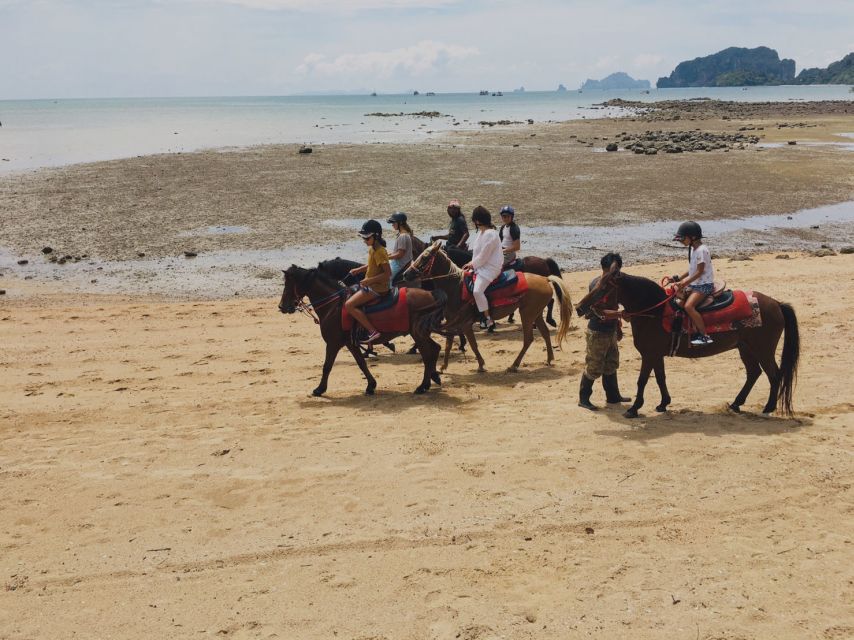 Krabi: Horseback Riding on the Beach - Is $62 a fair price?
