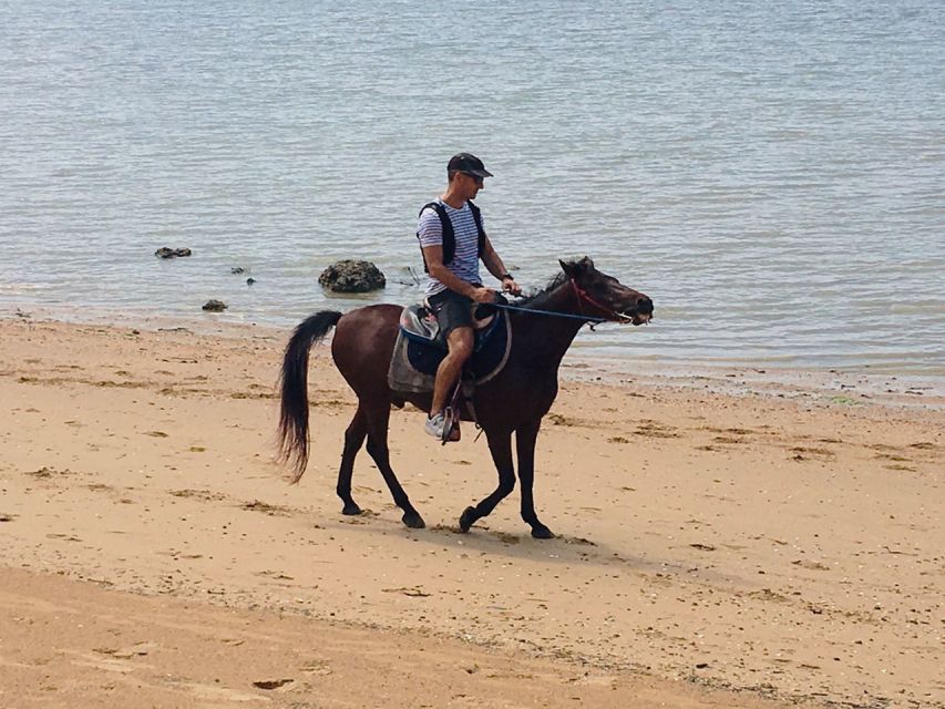 Krabi: Horseback Riding on the Beach - Booking and cancellation tips