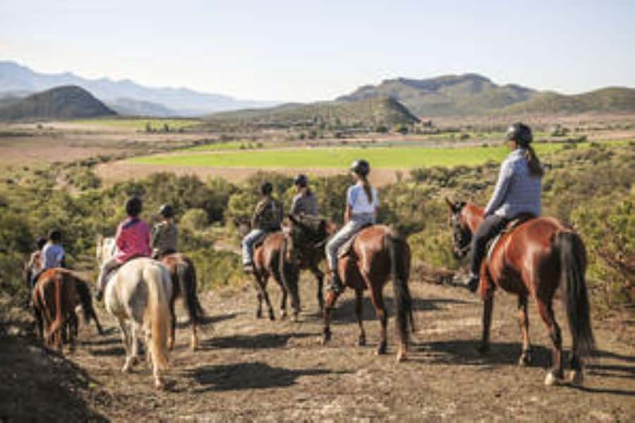 Kudu Trail Horse Riding Experience - Kudu Trail highlights at a glance