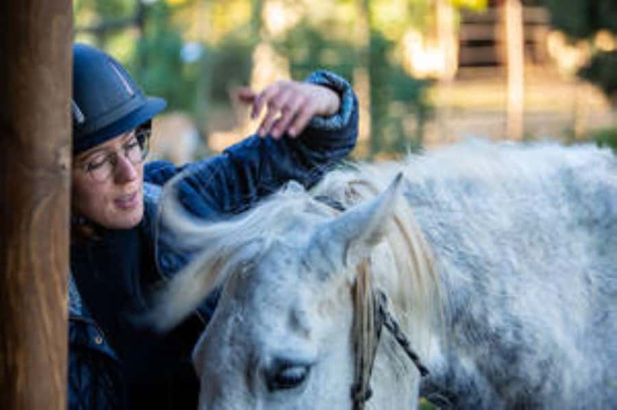 Kudu Trail Horse Riding Experience - Following jeep tracks and farm roads