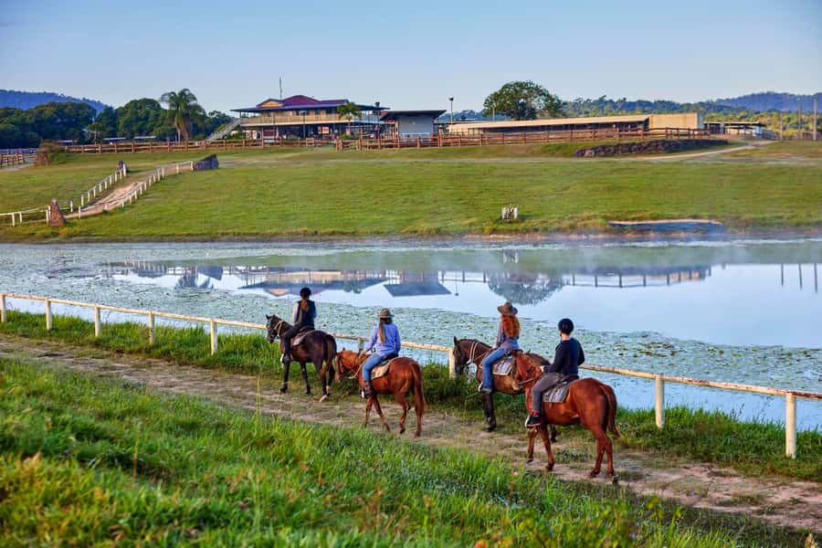 Kuranda: 60 minute Guided Horse Trail Ride & Petting Farm - Key things to know before you book