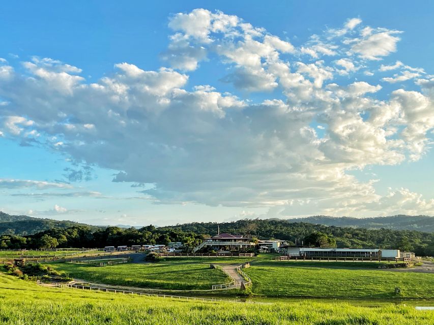 Kuranda: 60 minute Guided Horse Trail Ride & Petting Farm - Around 11:15am: from horseback to the petting farm
