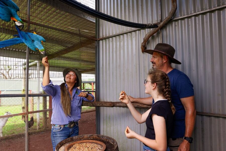 Kuranda: 60 minute Guided Horse Trail Ride & Petting Farm - Should you book the Kuranda horse ride?