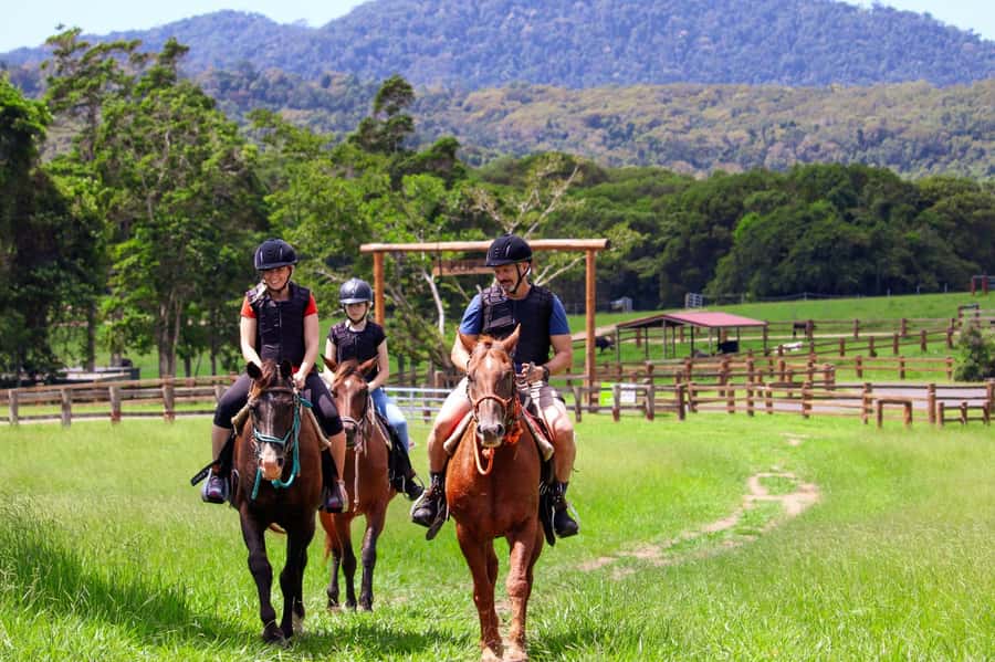 Kuranda: 60 minute Guided Horse Trail Ride & Petting Farm - Starting at 9:50am: forms, gear, and a proper safety briefing
