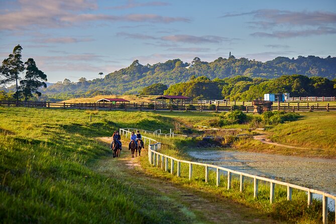Kuranda 60 minute Horse Trail Ride and Petting Farm - A small farm experience in Kuranda’s hills