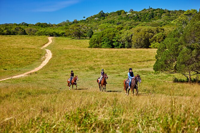 Kuranda 60 minute Horse Trail Ride and Petting Farm - Why the small group size matters