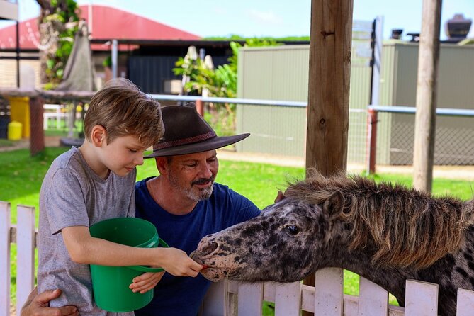 Kuranda 60 minute Horse Trail Ride and Petting Farm - Is the $128.39 price good value?