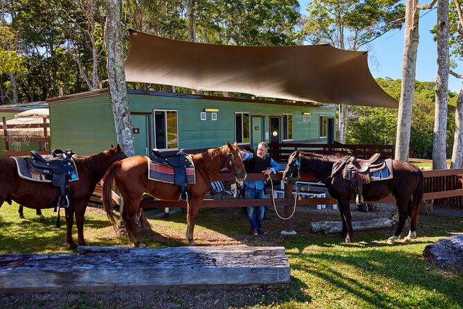 Kuranda 60 minute Horse Trail Ride and Petting Farm - Timing, weather, and practical planning