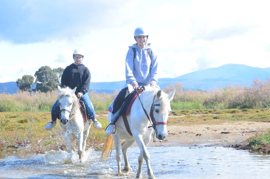 Kusadasi: Beach and Forest Horse Riding Tour - Key points at a glance