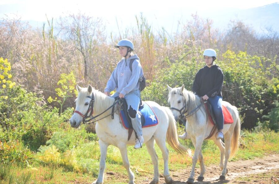 Kusadasi: Beach and Forest Horse Riding Tour - What the Kusadasi horse ride is really like