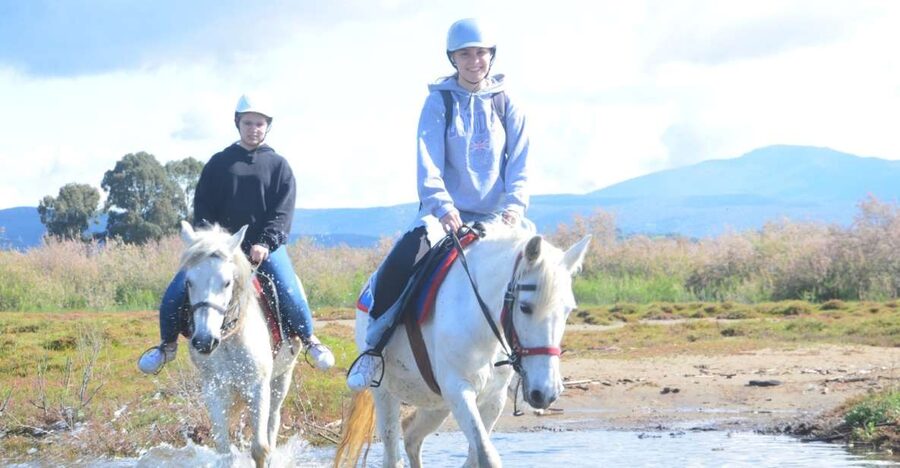 Kusadasi: Beach and Forest Horse Riding Tour - Through the pine forest and olive groves