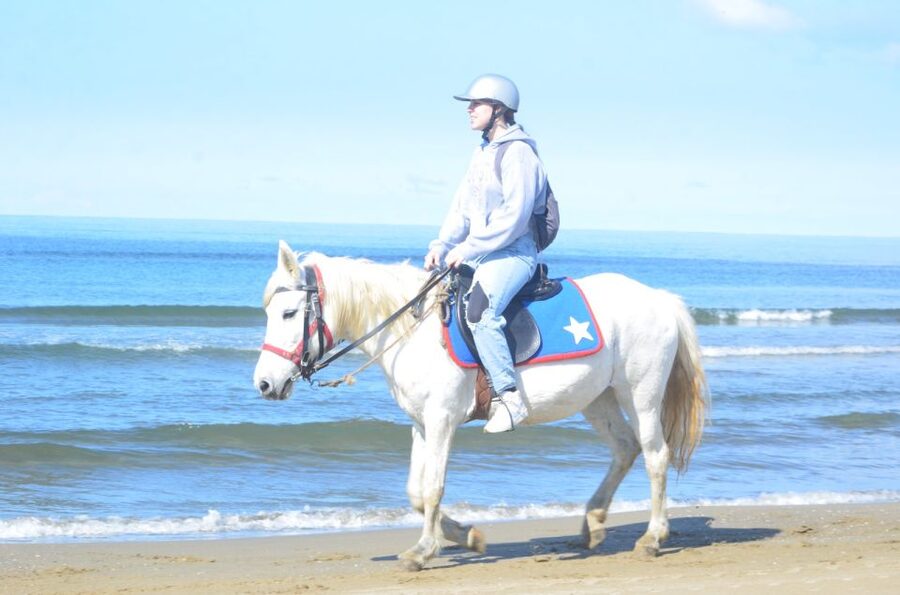Kusadasi: Beach and Forest Horse Riding Tour - Who will enjoy this most