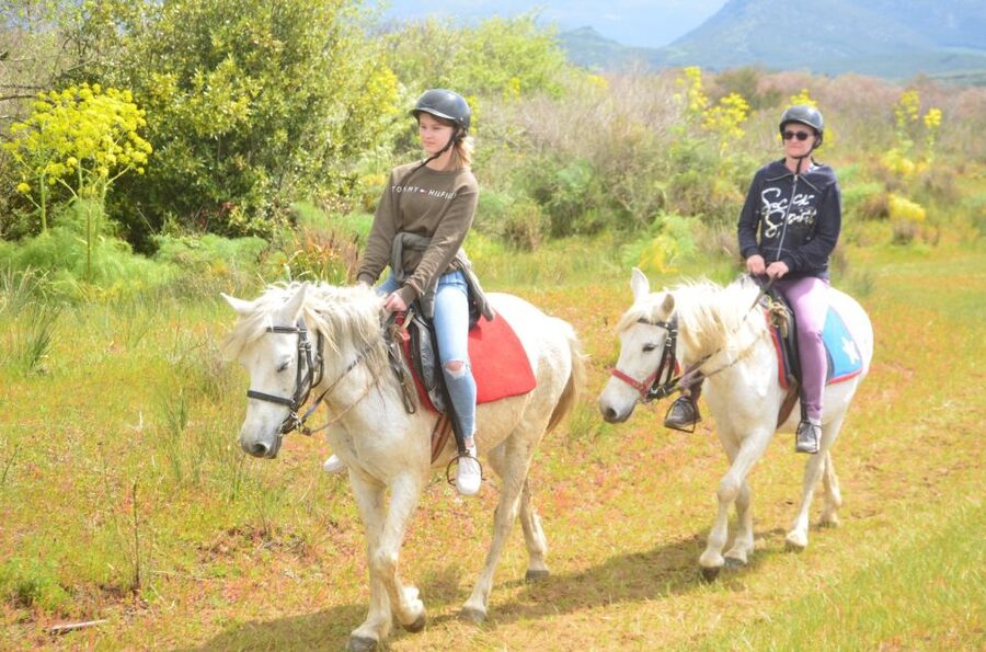 Kusadasi: Beach and Forest Horse Riding Tour - Meeting the horses and getting comfortable