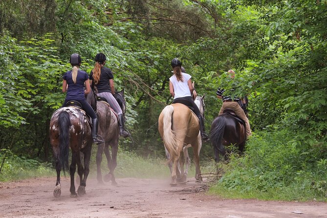 Kusadasi Horse Riding Beach and Forest options with Transfer - What makes this Kusadasi ride worth considering