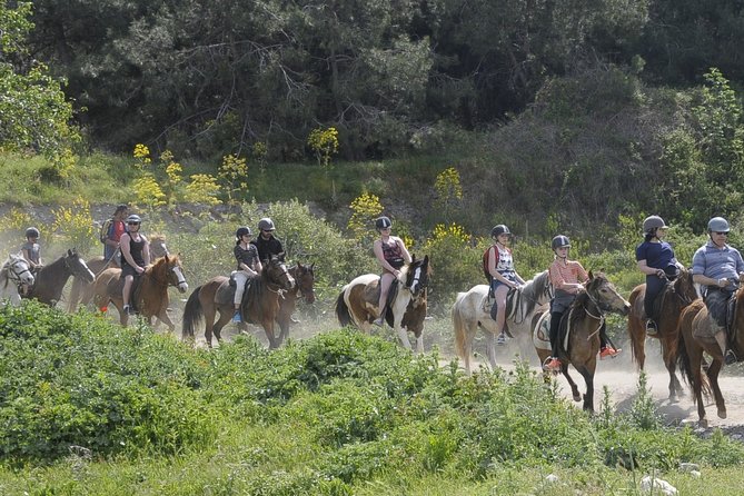 Kusadasi Horse Riding Beach and Forest options with Transfer - What the $66.08 price includes