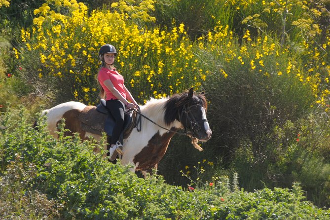 Kusadasi Horse Riding Beach and Forest options with Transfer - The ride back to Kusadasi