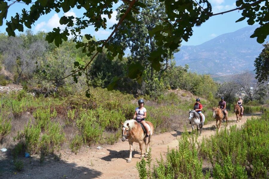 Kusadasi: Horse Riding Beach and Forest w/Transfer - Pine forests, orange groves, and village life