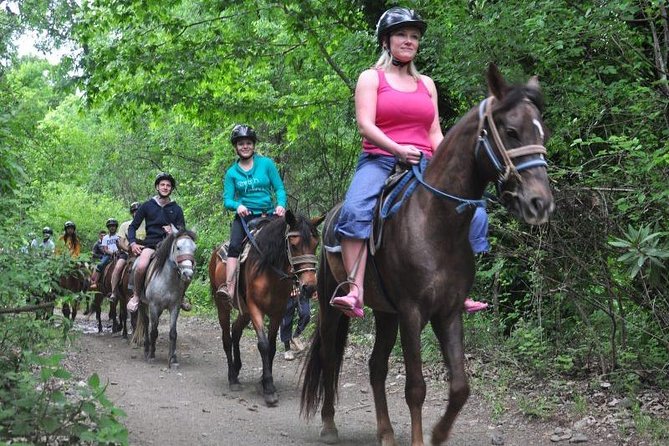Kusadasi Horseback Riding - Flamingos, photographs, and the small extras