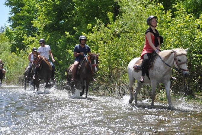 Kusadasi Horseback Riding - A slow start through Kusadasi’s countryside