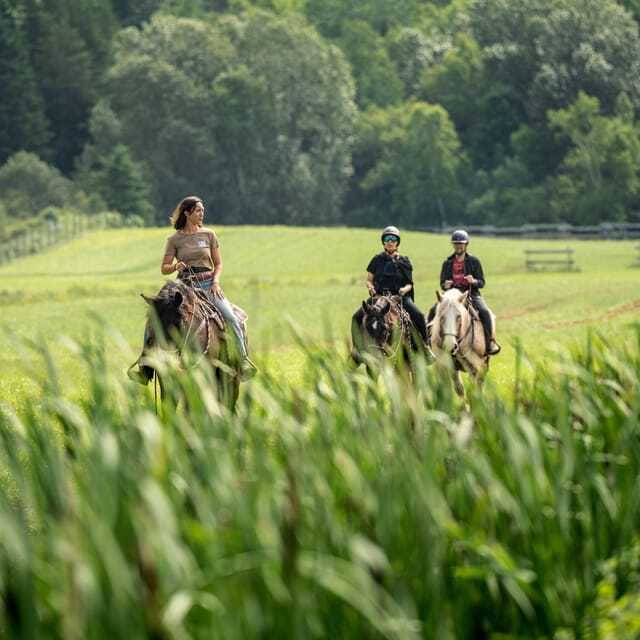 La Bleuetière: A charming introduction to horseback riding - Who will enjoy La Bleuetière most?