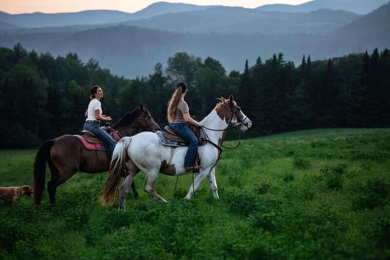 La Bleuetière: A charming introduction to horseback riding - A gentle way to meet the horses