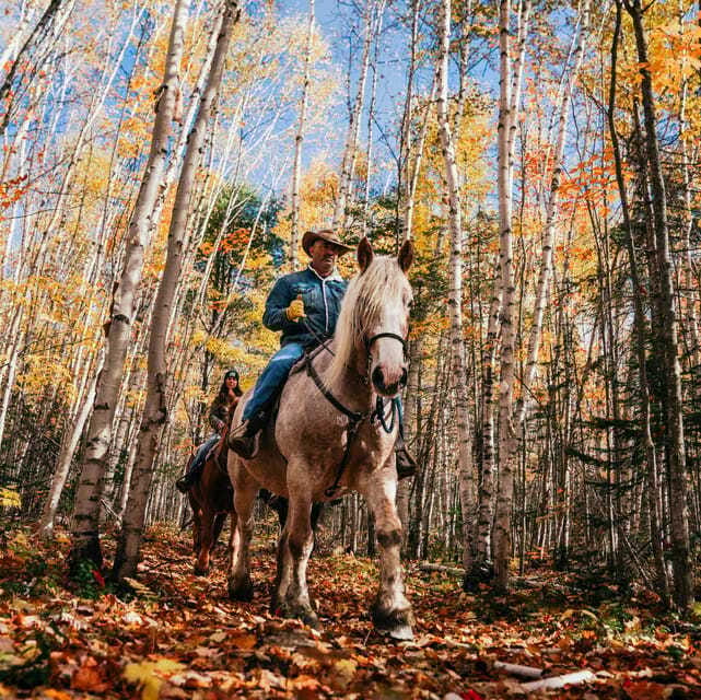 La Bleuetière: A charming introduction to horseback riding - Is $68 a fair price?
