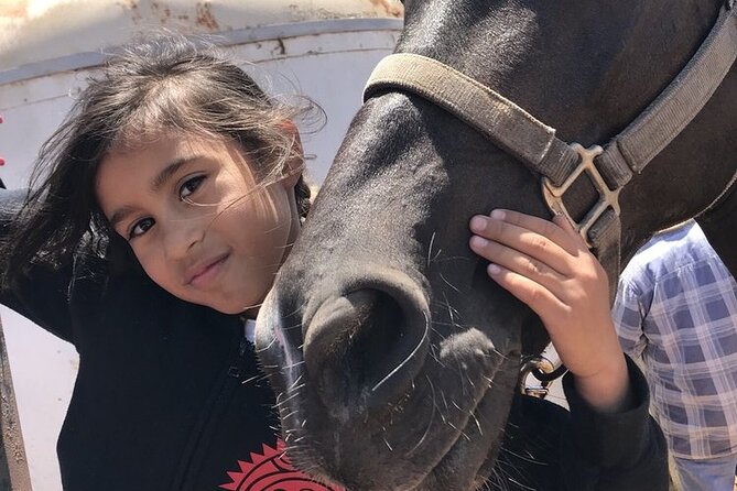 La Bufadora, Markets & Horseback Beach Ride Shore Excursion - Ensenada extras that can stretch the day