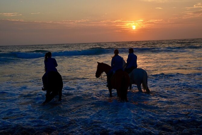 La Bufadora, Markets & Horseback Beach Ride Shore Excursion - What the drivers add to the experience