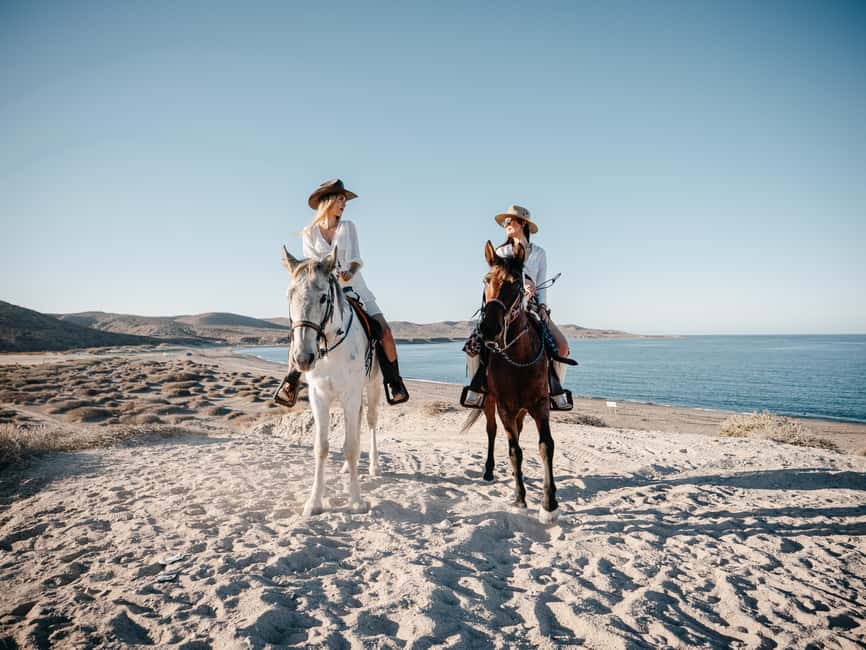 La Paz: Scenic Beach Horseback Ride - Choosing the right horse and pace
