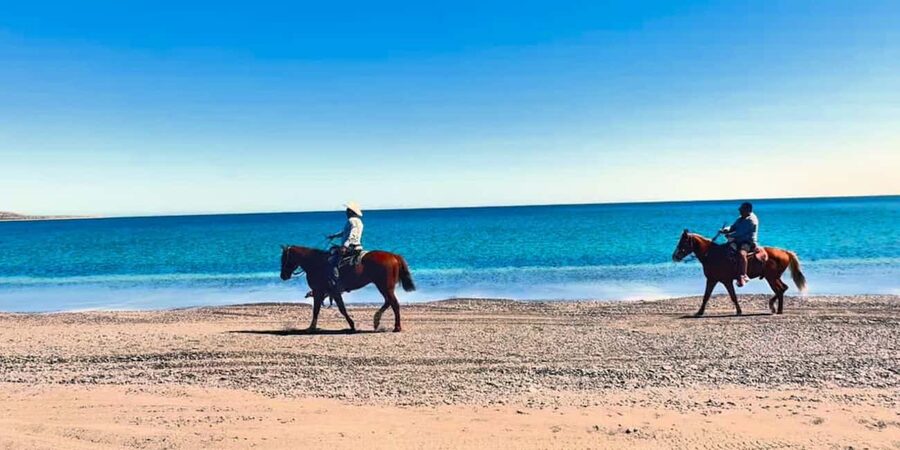 La Paz: Scenic Beach Horseback Ride - What the guide adds to the experience