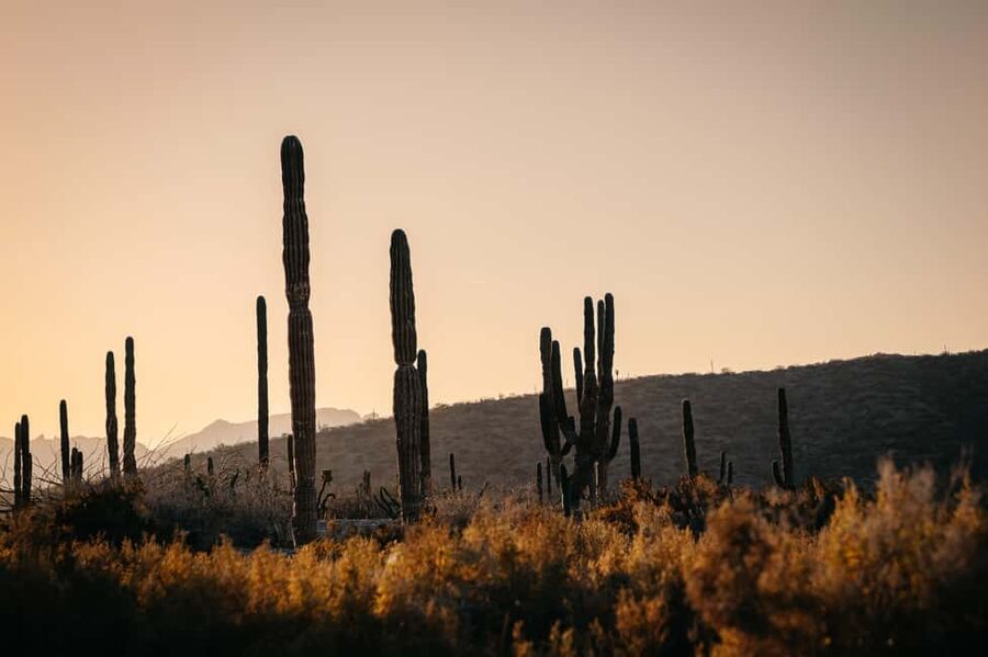 La Paz: Scenic Beach Horseback Ride - Two hours between desert and sea