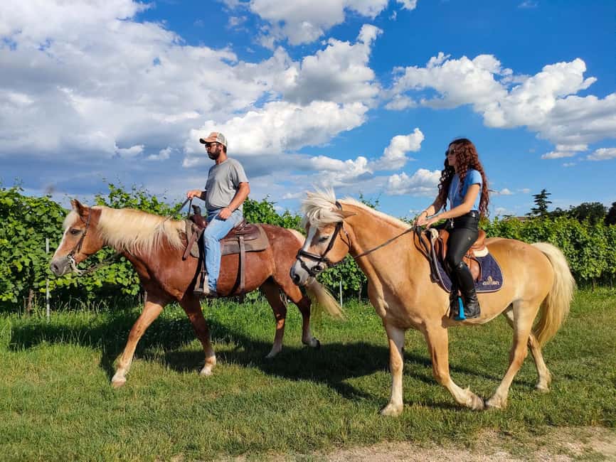 Lake Garda: 2 hours Horseback Ride in the Countryside - An Hour Through Lazise and Colà di Lazise